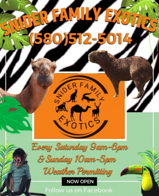 Snider Family Exotics | Local Zoo in Fletcher, OK | Exotic Animal Park ...